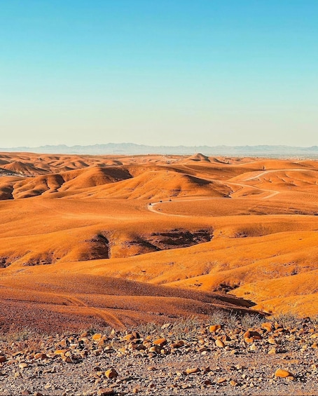 Picture 21 for Activity Marrakesh: Agafay Desert Sunset, Camel Ride, and Dinner Show