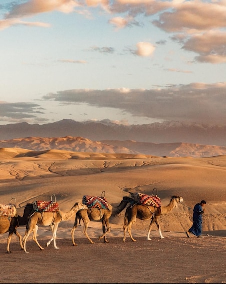 Picture 39 for Activity Marrakesh: Agafay Desert Sunset, Camel Ride, and Dinner Show