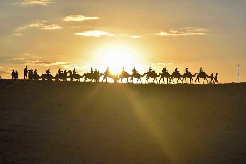 Picture 34 for Activity Marrakesh: Agafay Desert Sunset, Camel Ride, and Dinner Show