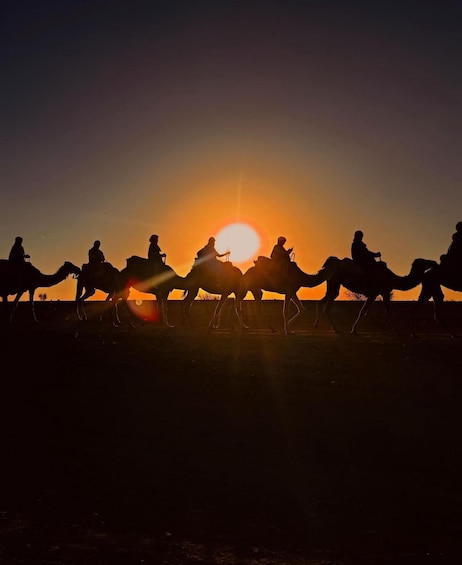 Picture 38 for Activity Marrakesh: Agafay Desert Sunset, Camel Ride, and Dinner Show