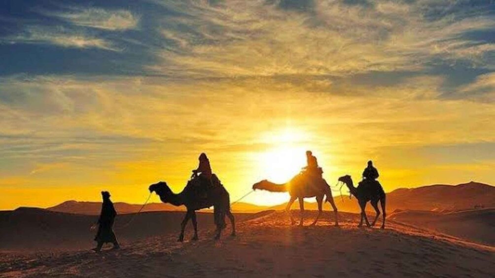 Picture 2 for Activity From Marrakesh: Agafay Desert Sunset, Camel Ride, and Dinner
