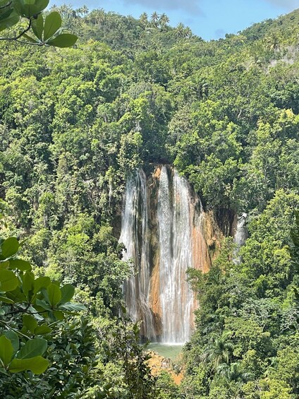 Picture 2 for Activity Las Terrenas: El Limón Waterfall Trekking Tour in Samana