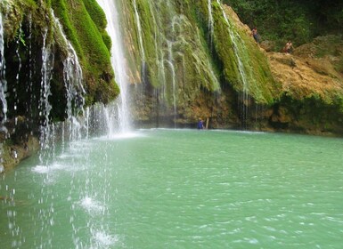 Las Terrenas: El Limón Wasserfall Trekking Tour in Samana