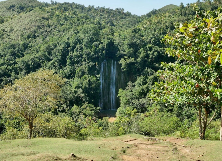 Picture 2 for Activity Las Terrenas: El Limón Waterfall Trekking Tour in Samana