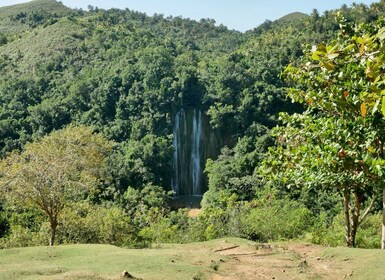 Las Terrenas: El Limón Wasserfall Trekking Tour in Samana