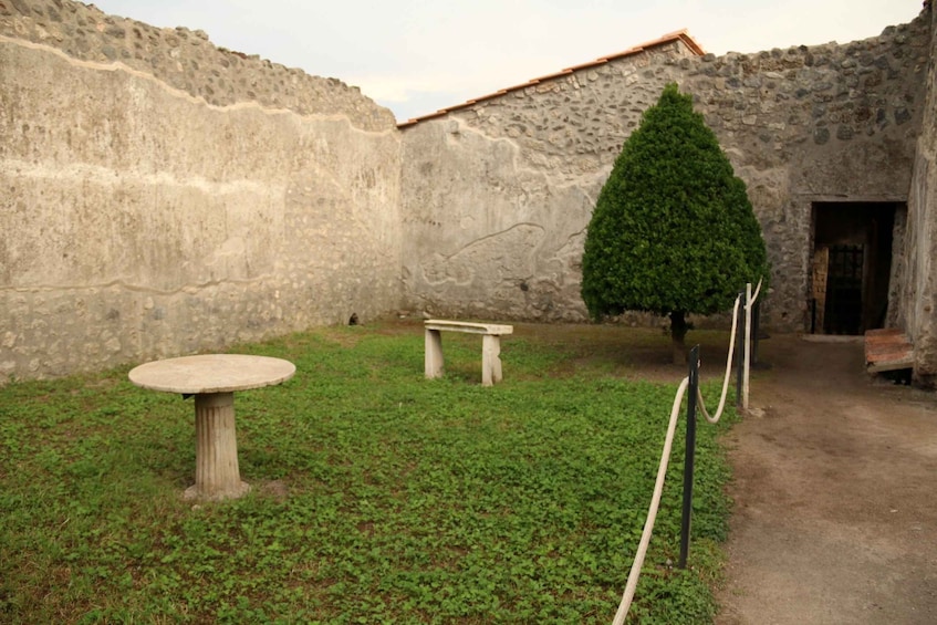 Picture 9 for Activity Pompeii 2-Hour Private Tour