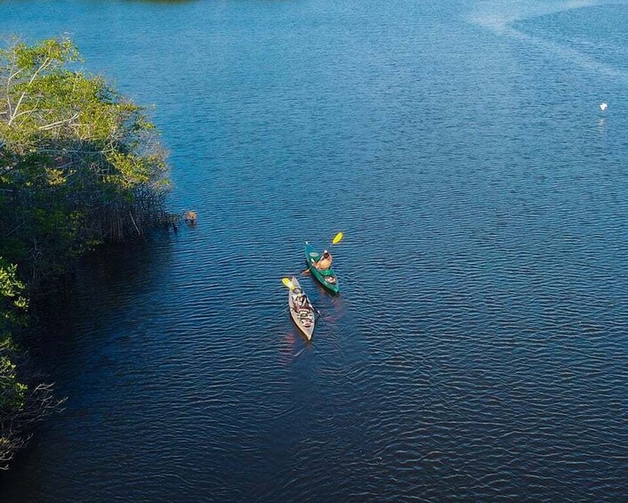 Picture 5 for Activity Puerto Escondido: Kayaking in Puerto Suelo