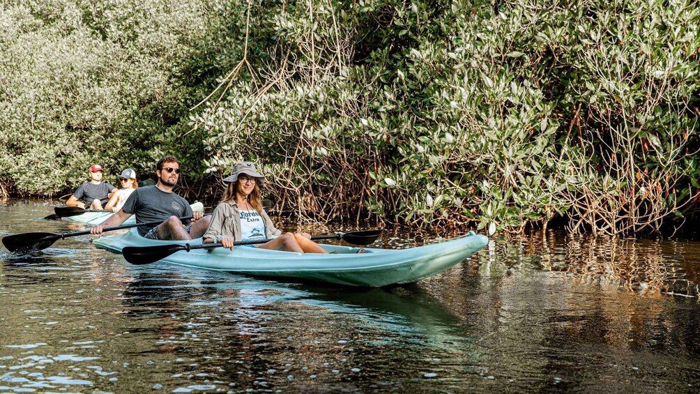 Picture 3 for Activity Puerto Escondido: Kayaking in Puerto Suelo