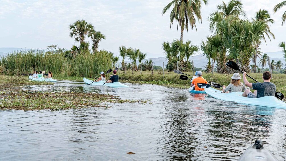 Picture 4 for Activity Puerto Escondido: Kayaking in Puerto Suelo