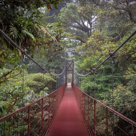Von San José aus: Monteverde Hängebrücken & Santa Elena Tour