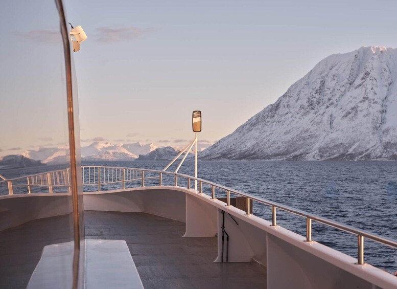 Picture 12 for Activity Tromsø: Arctic Fjord Cruise in Polar Landscapes