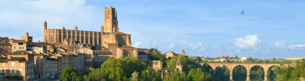 Picture 1 for Activity Toulouse: Guided Tour of the Historic Center