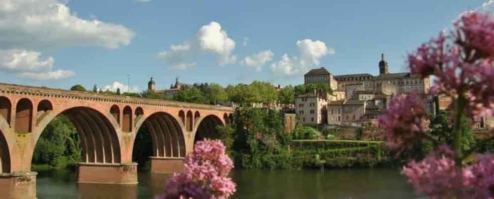 Picture 4 for Activity Toulouse: Guided Tour of the Historic Center