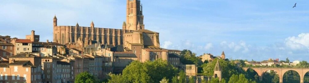 Picture 1 for Activity Toulouse: Guided Tour of the Historic Center