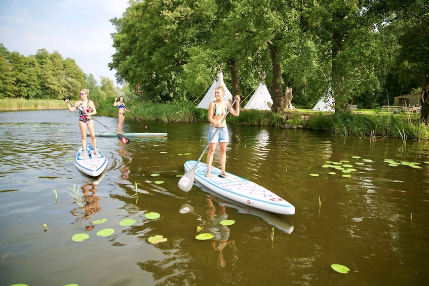 Picture 3 for Activity Leipzig: Cospudener Lake Stand-Up Paddleboard Course
