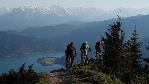 GRENOBLE: alquiler de bicicletas eléctricas de montaña