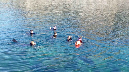 Gran Canaria: Snorkeltrip