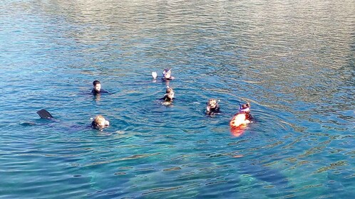 Gran Canaria: Snorkeltur