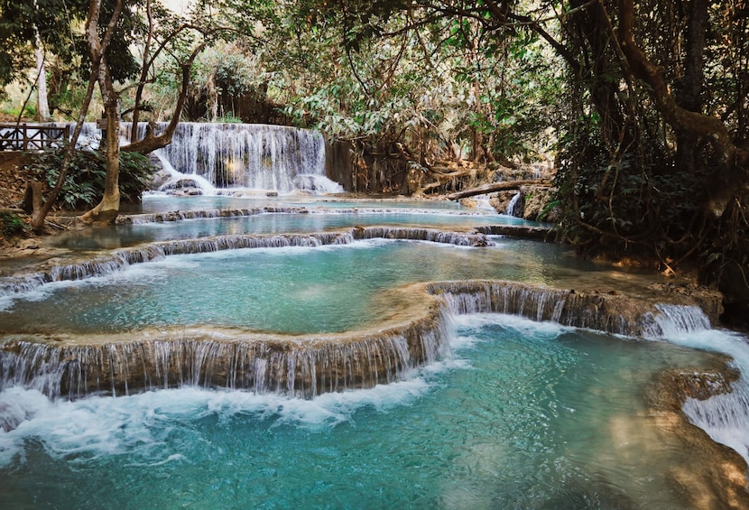 Full Day Rice Cultivation Experience & Kuang Si Falls Tour