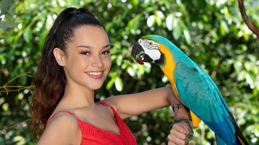 Kuranda: Birdworld Entry Ticket