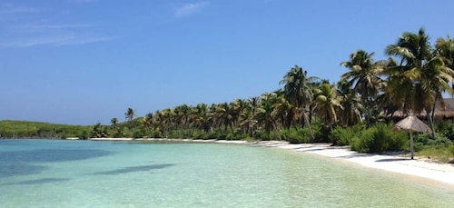 Cancún: tour combinado de Isla Contoy e Isla Mujeres