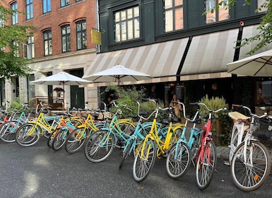 Copenaghen: Tour guidato della città in bicicletta