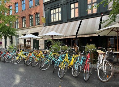 Kopenhagen: Stadshoogtepunten fietstour met gids