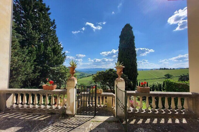 Chianti Rufina Lunch and Wine Tasting Experience