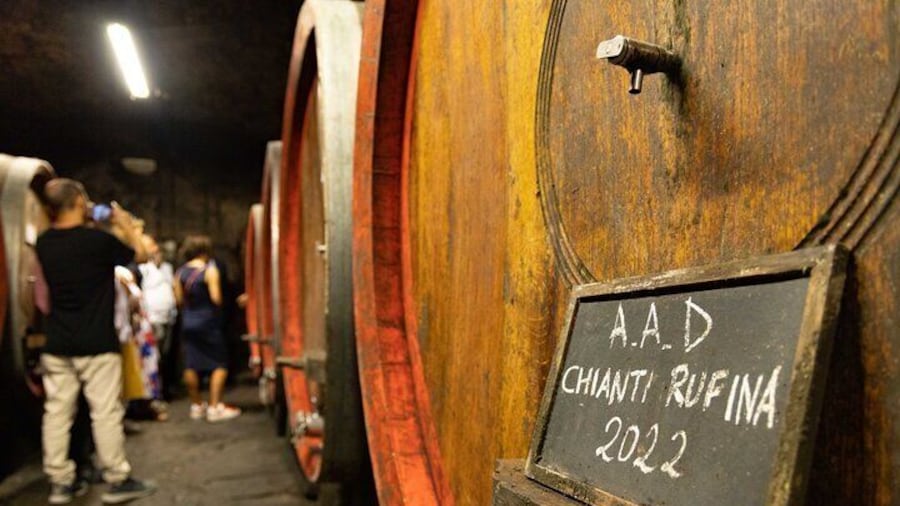 Chianti Rufina Lunch and Wine Tasting Experience