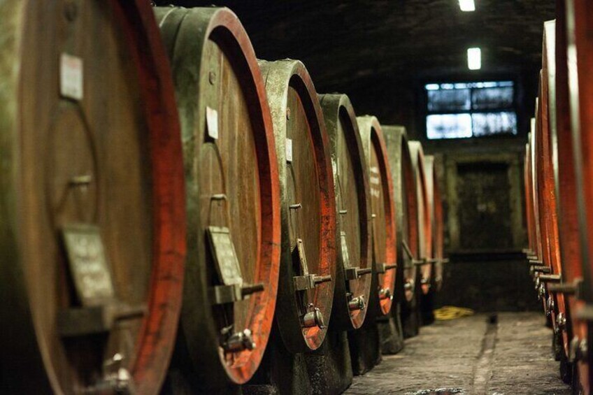Chianti Rufina Lunch and Wine Tasting Experience