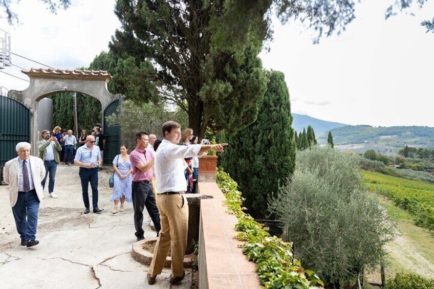 Chianti Rufina Lunch and Wine Tasting Experience