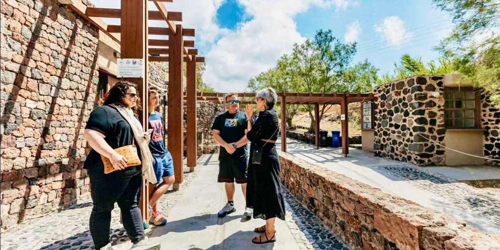 Picture 5 for Activity Santorini: Akrotiri Private Guided Tour with Hotel Pick-Up