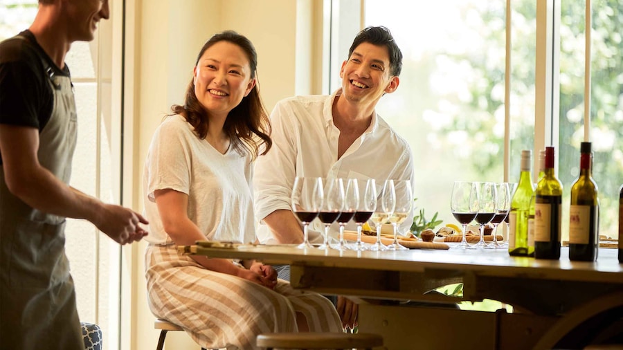 Hunter Valley: Tasting of 6 Shiraz Vintages at Tulloch Wines