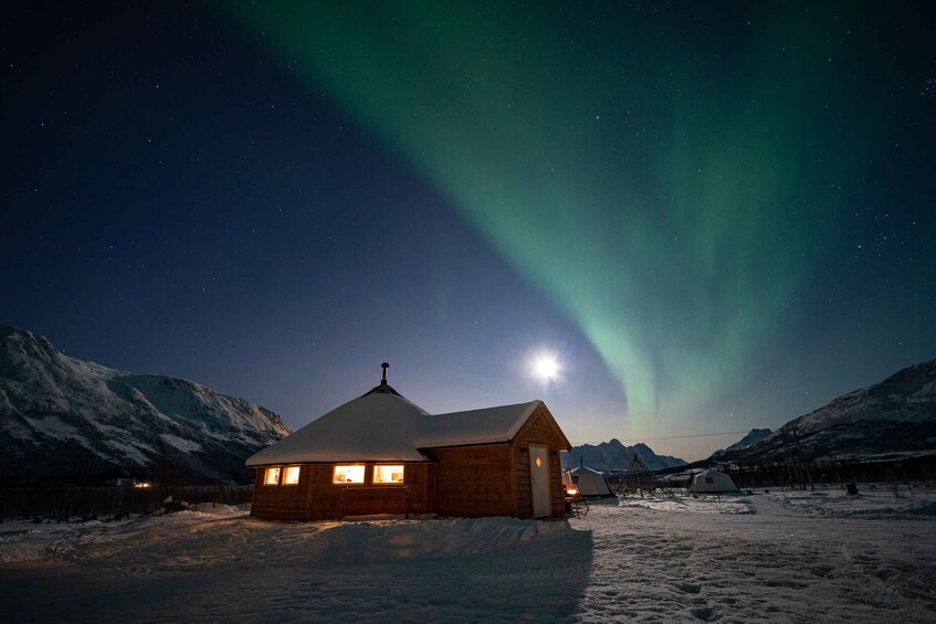 Picture 3 for Activity Tromso: Reindeer Sledding with Chance to See Northern Lights