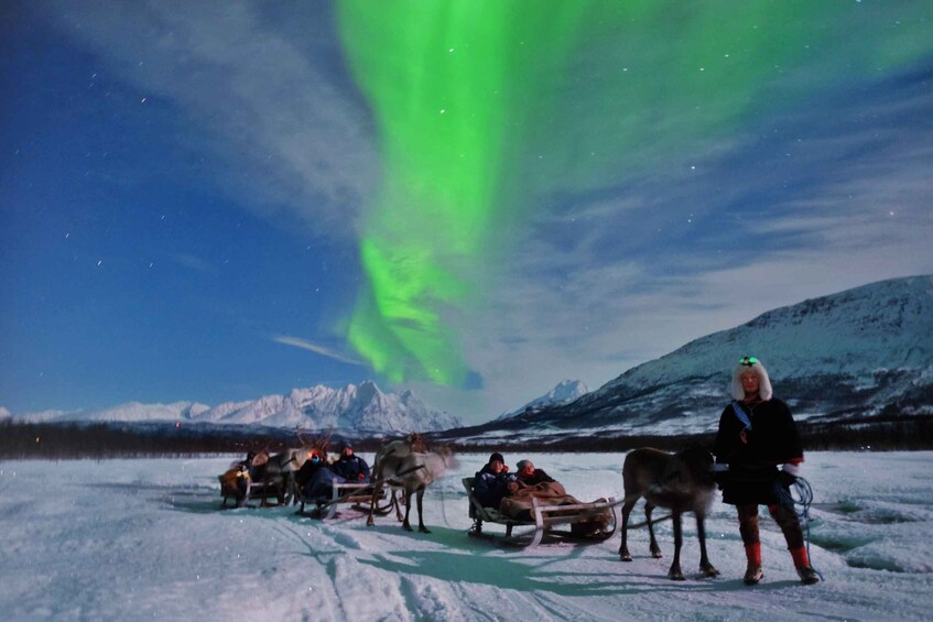 Picture 1 for Activity Tromso: Reindeer Sledding with Chance to See Northern Lights