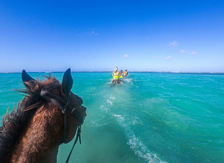 Picture 4 for Activity From Ocho Rios: Chukka Horseback Ride and Swim