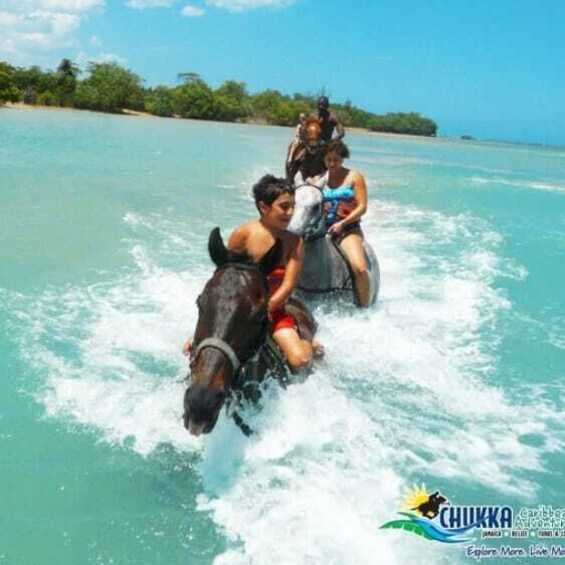 Picture 6 for Activity From Ocho Rios: Chukka Horseback Ride and Swim