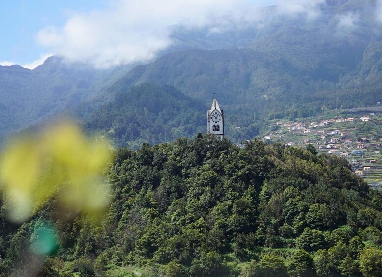 Picture 13 for Activity From Funchal: Full-Day Madeira Wine Tour with Lunch