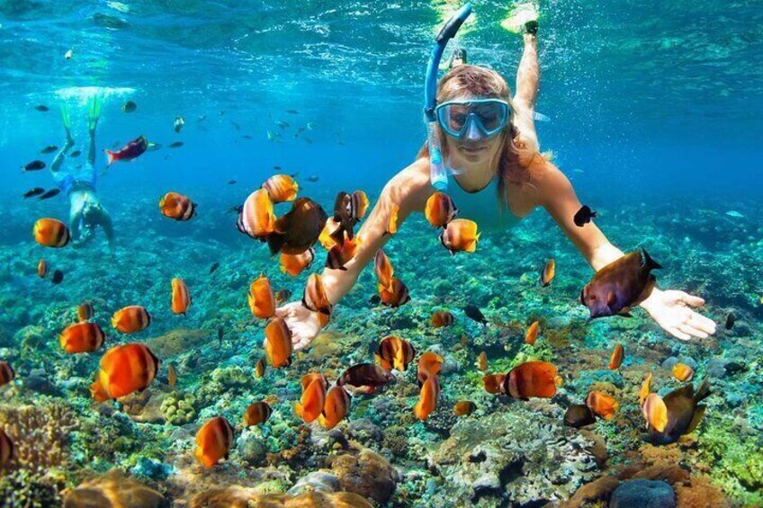 swimming and snorkeling 