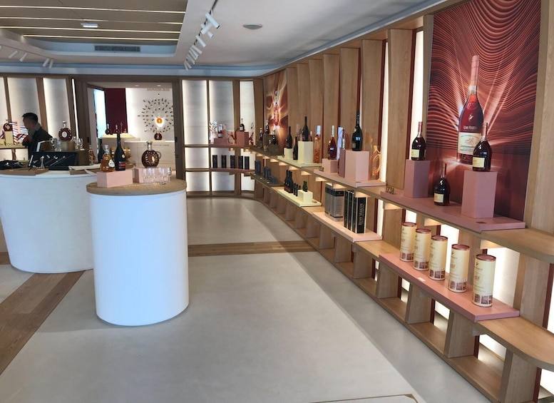 Picture 2 for Activity From Bordeaux: Cognac Private Wine Tour
