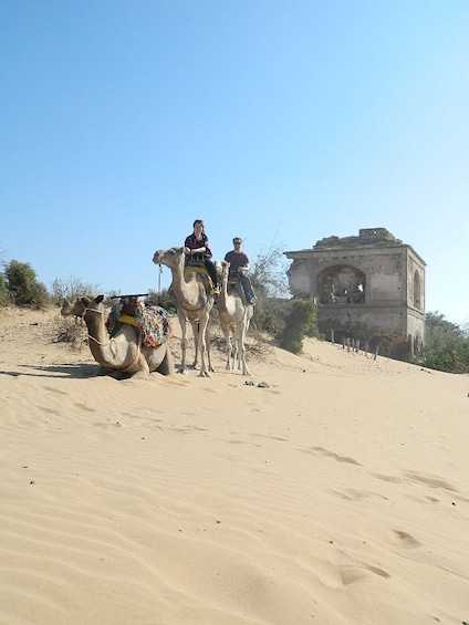 Picture 2 for Activity Full-Day Dromedary Ride in Essaouira