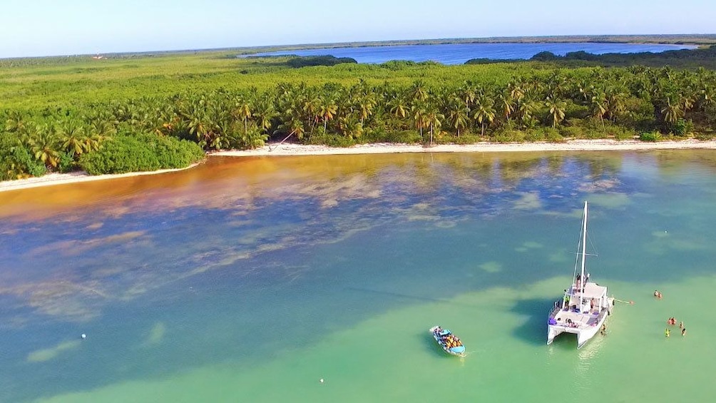 Catamaran near forested coast in Punta Cana