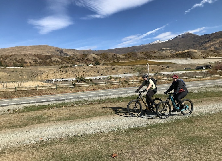 Picture 8 for Activity Queenstown: Guided E-Bike Tour with Winery Visits & Tastings