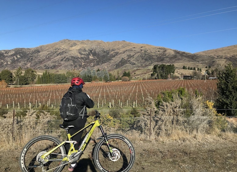 Picture 10 for Activity Queenstown: Guided E-Bike Tour with Winery Visits & Tastings
