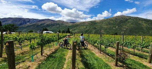 Queenstown: Geführte E-Bike Tour mit Weingutbesuchen und Verkostungen