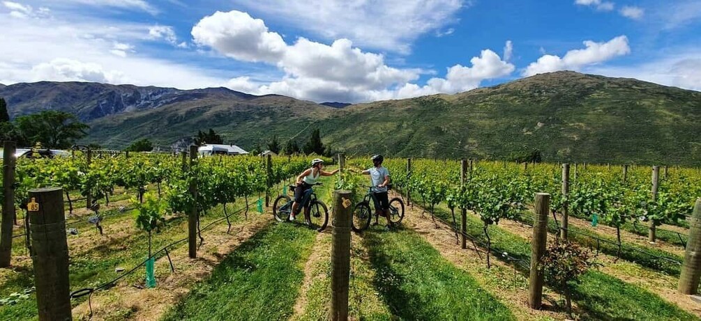 Queenstown: Guided E-Bike Tour with Winery Visits & Tastings