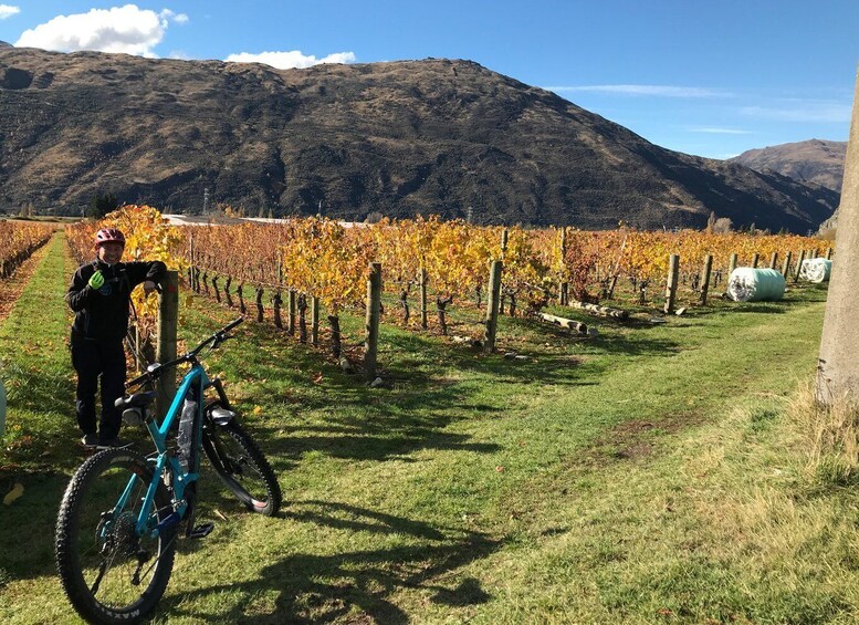 Picture 10 for Activity Queenstown: Guided E-Bike Tour with Winery Visits & Tastings