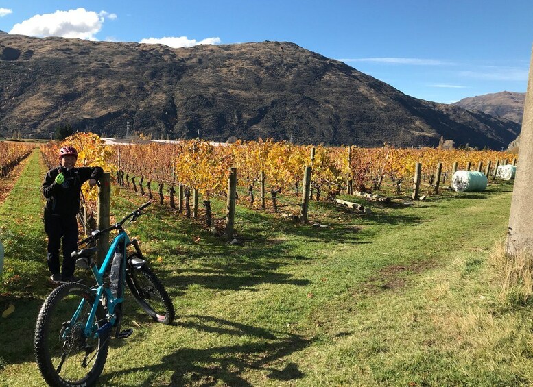 Picture 10 for Activity Queenstown: Guided E-Bike Tour with Winery Visits & Tastings