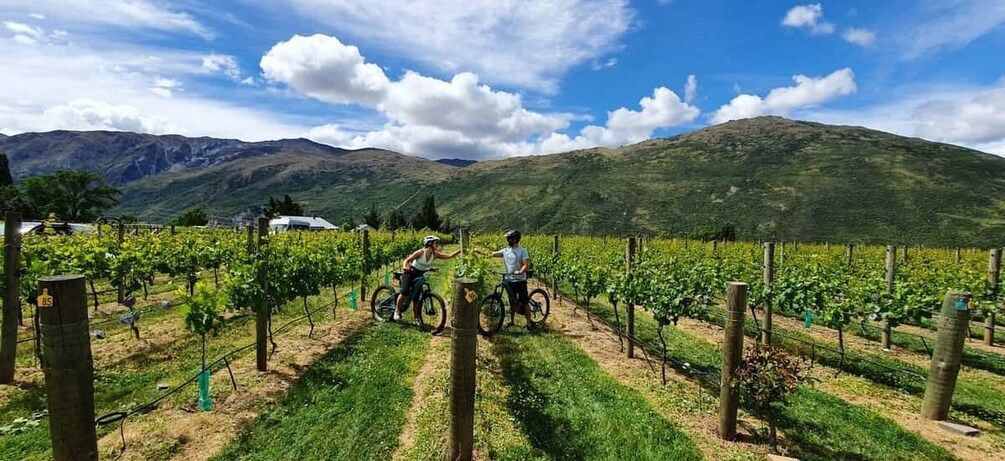 Queenstown: Guided E-Bike Tour with Winery Visits & Tastings