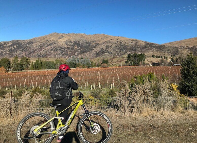 Picture 11 for Activity Queenstown: Guided E-Bike Tour with Winery Visits & Tastings